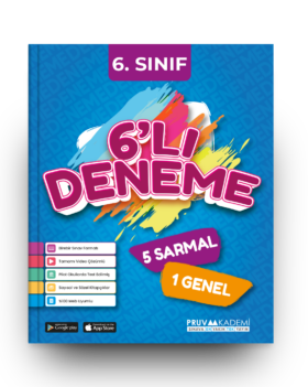 6. Sınıf 6'lı Deneme