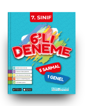 7. Sınıf 6'lı Deneme